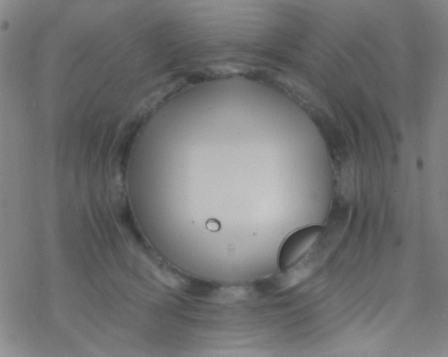 X0000076450418200610271829