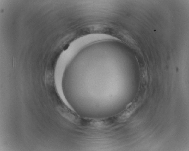 X0000076450419200610271829