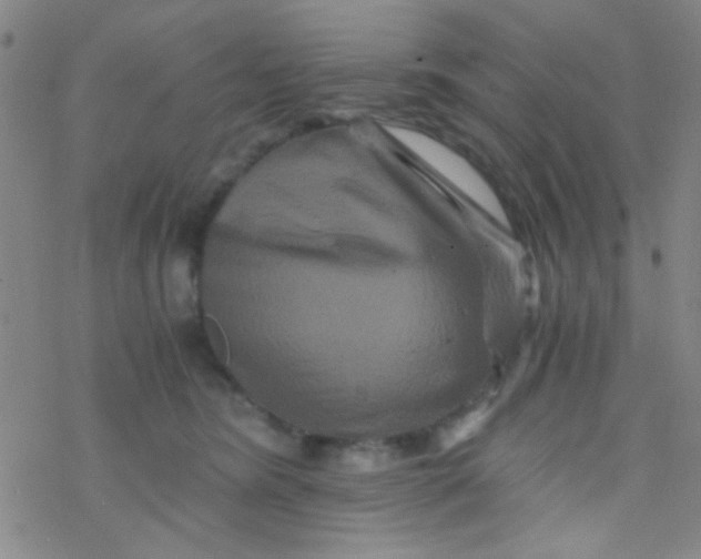 X0000076450420200610271829