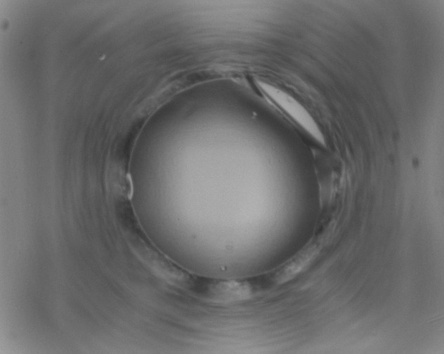 X0000076450421200610271829