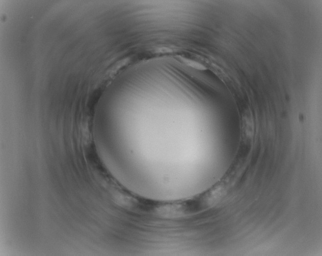 X0000076450422200610271829