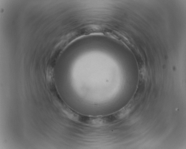 X0000076450423200610271829