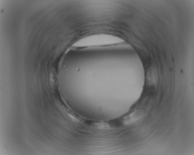 X0000076450424200610271829