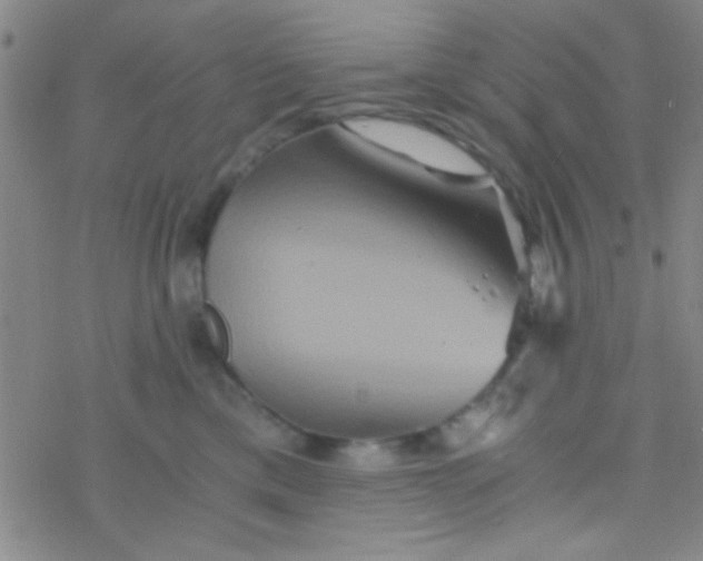 X0000076450425200610271829