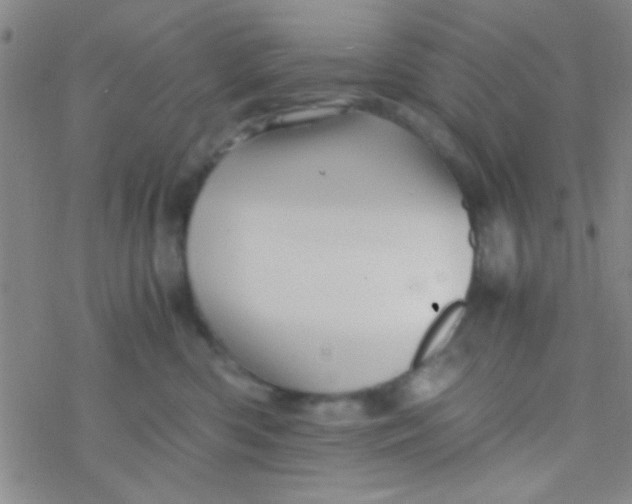 X0000076450426200610271829