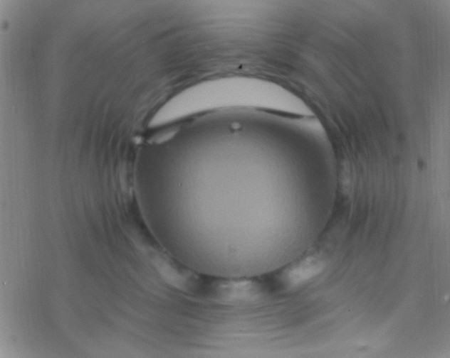 X0000076450428200610271829