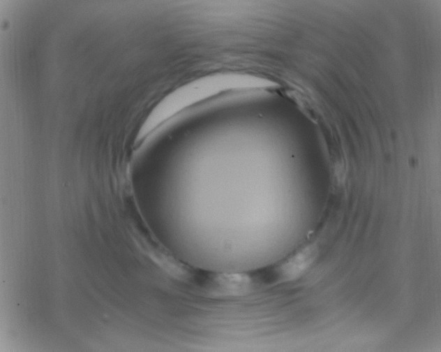 X0000076450429200610271829