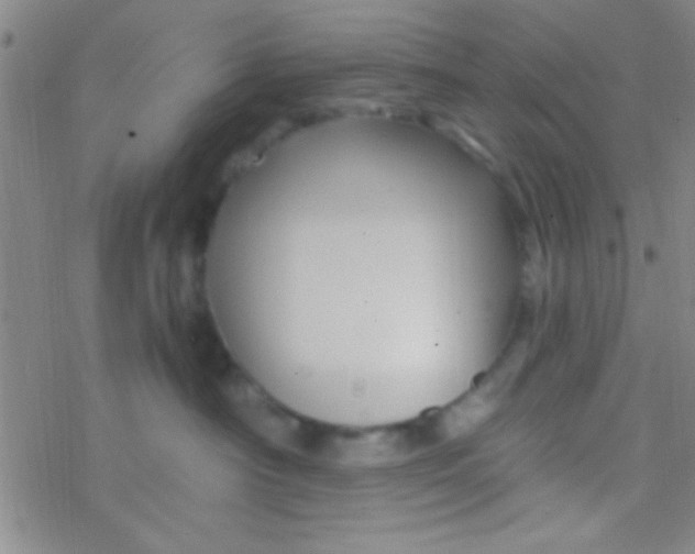 X0000076450430200610271828