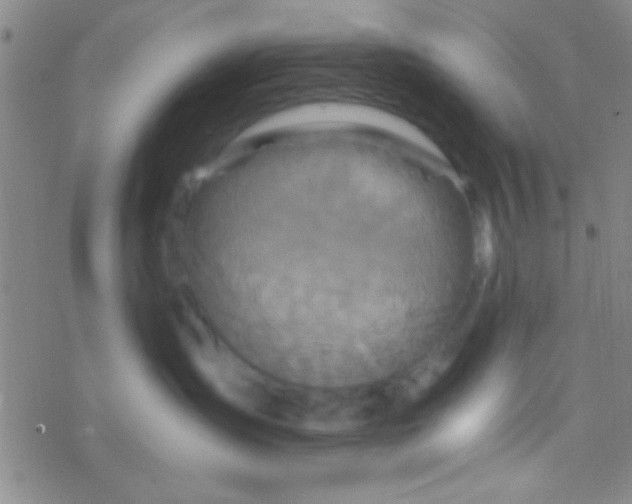 X0000076450431200610271828