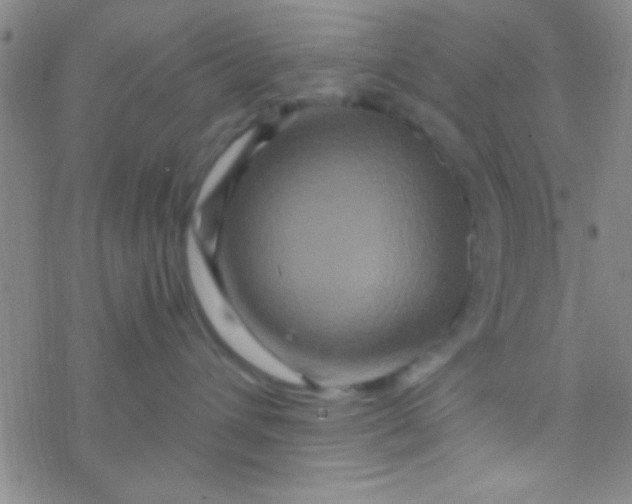 X0000076450432200610271828