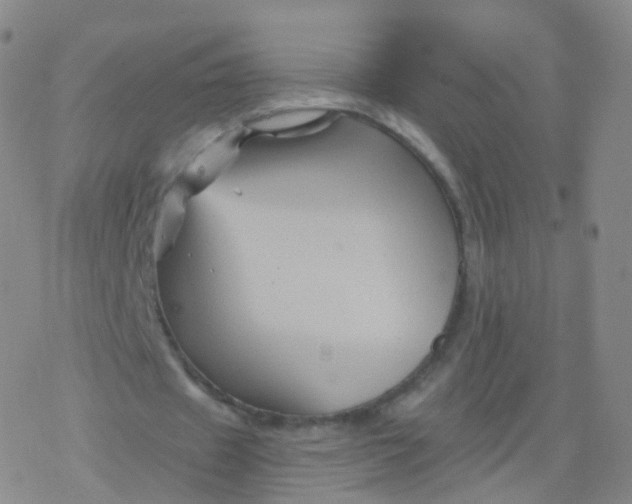 X0000076450433200610271828