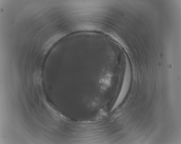 X0000076450434200610271828