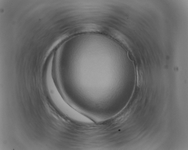 X0000076450435200610271828