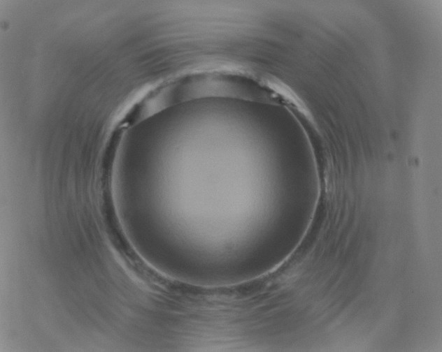 X0000076450436200610271828