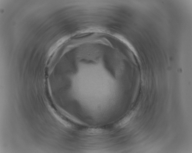 X0000076450437200610271828