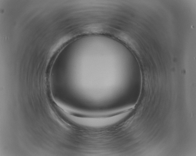 X0000076450439200610271828