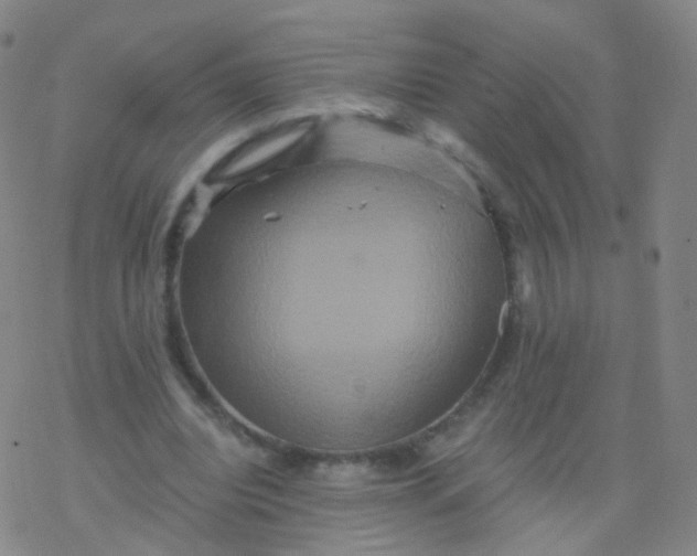 X0000076450440200610271828