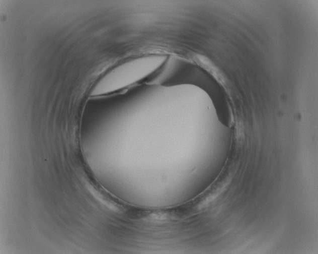 X0000076450441200610271828