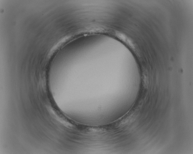 X0000076450442200610271828