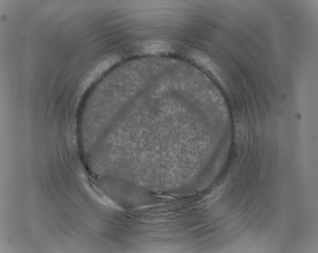 X0000076450443200610271828