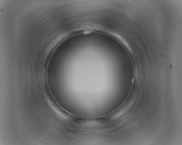 X0000076450445200610271828