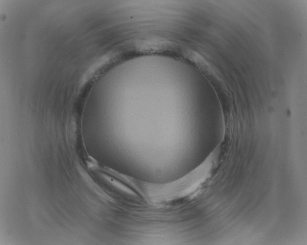 X0000076450448200610271828