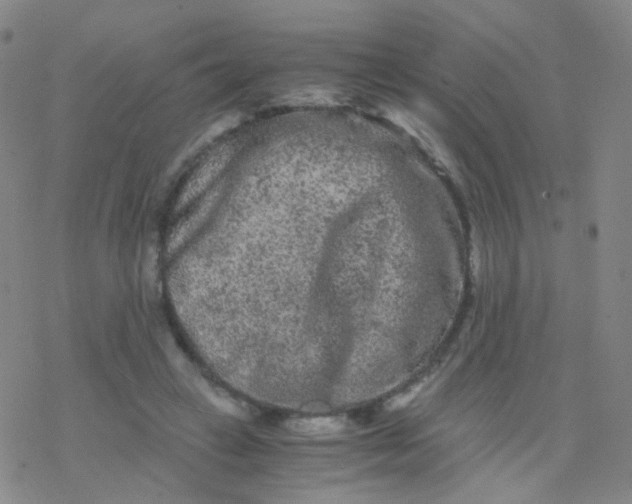 X0000076450449200610271828