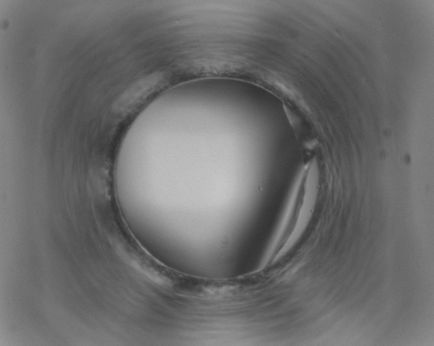 X0000076450450200610271828