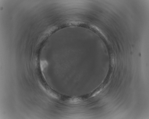 X0000076450451200610271828