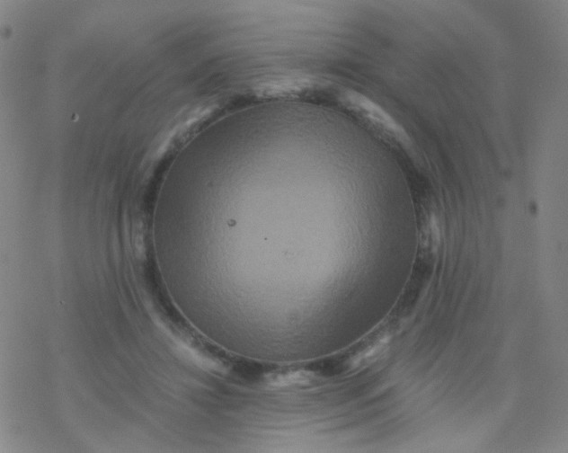 X0000076450452200610271828