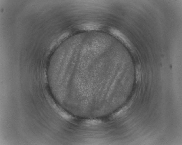 X0000076450453200610271828