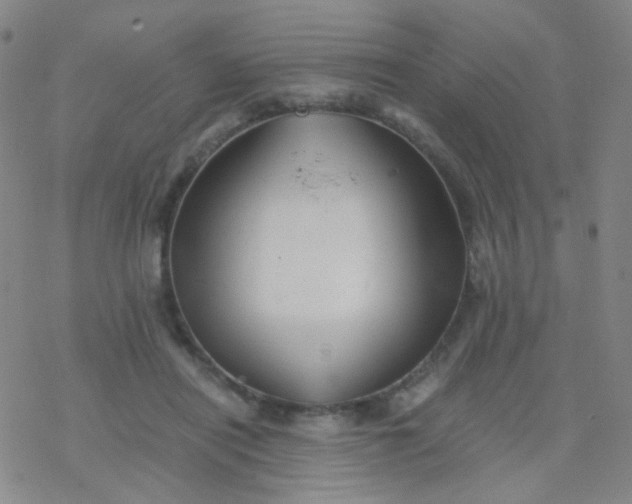 X0000076450454200610271828