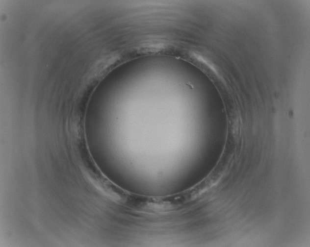 X0000076450455200610271828