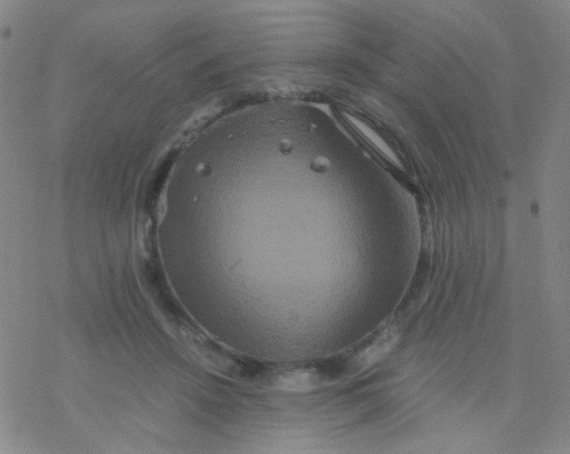 X0000076450456200610271828