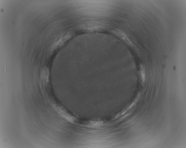 X0000076450458200610271828