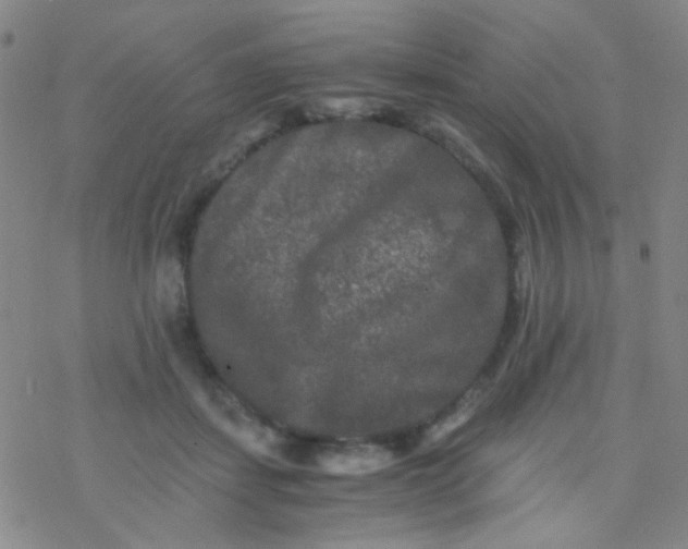 X0000076450459200610271828