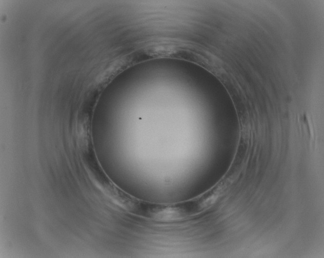 X0000076450460200610271828