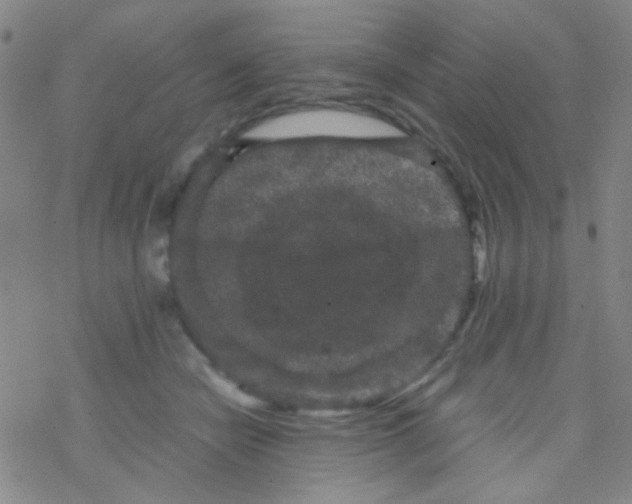 X0000076450462200610271828