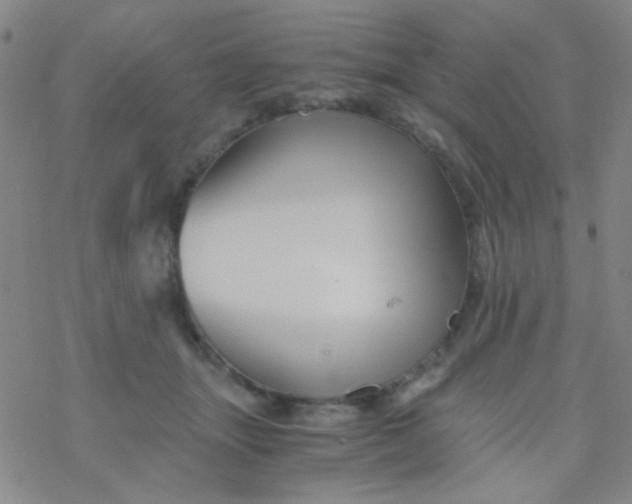 X0000076450463200610271828