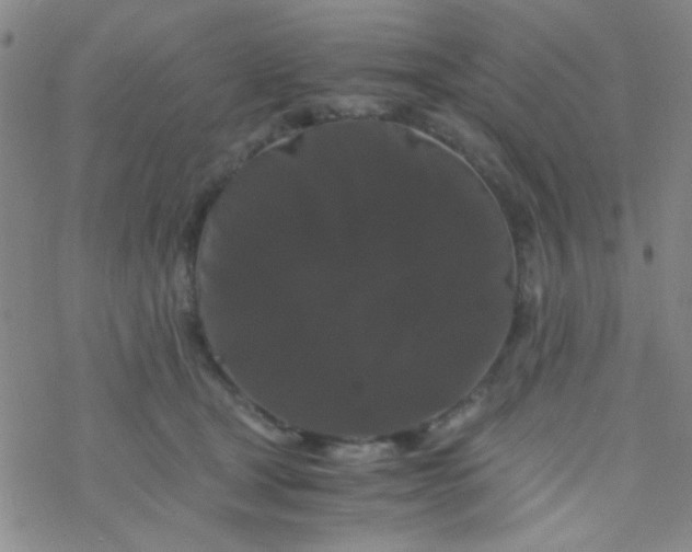 X0000076450465200610271828