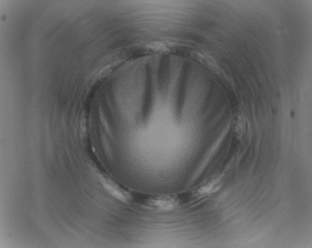 X0000076450466200610271828