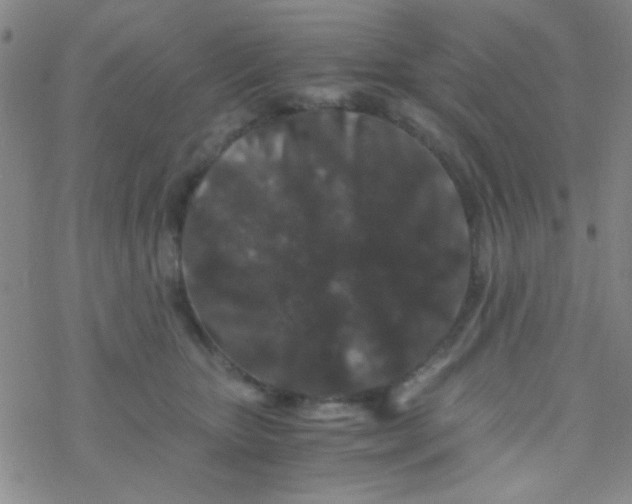 X0000076450467200610271828