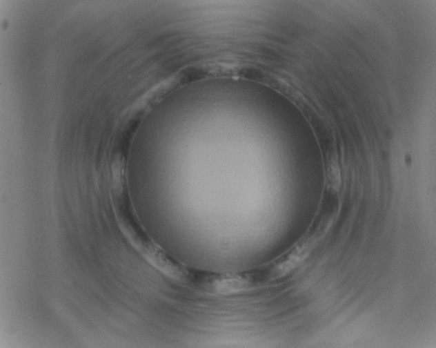 X0000076450468200610271828