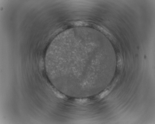 X0000076450469200610271828