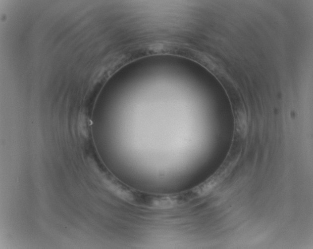 X0000076450470200610271828