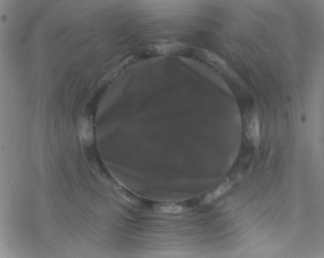 X0000076450471200610271828