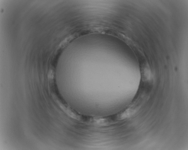 X0000076450472200610271828