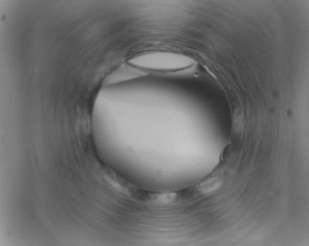 X0000076450474200610271828