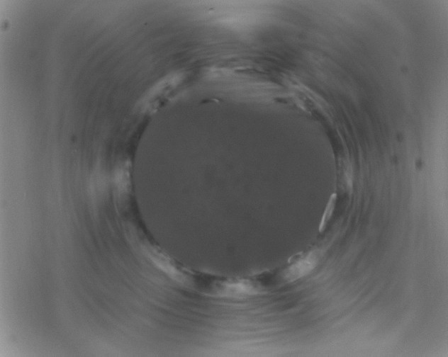 X0000076450475200610271828