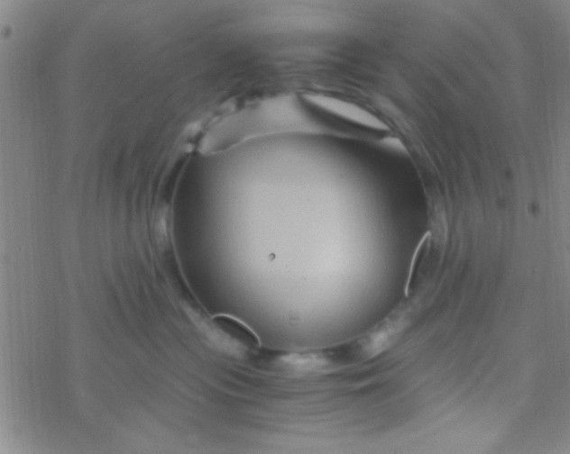 X0000076450477200610271828